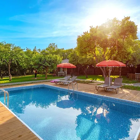 Mandarin Daire Alanya