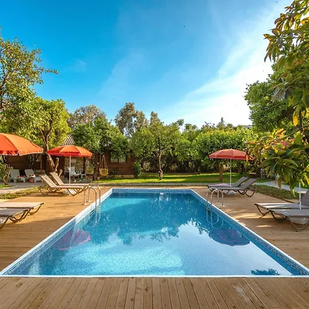 Mandarin Daire Alanya