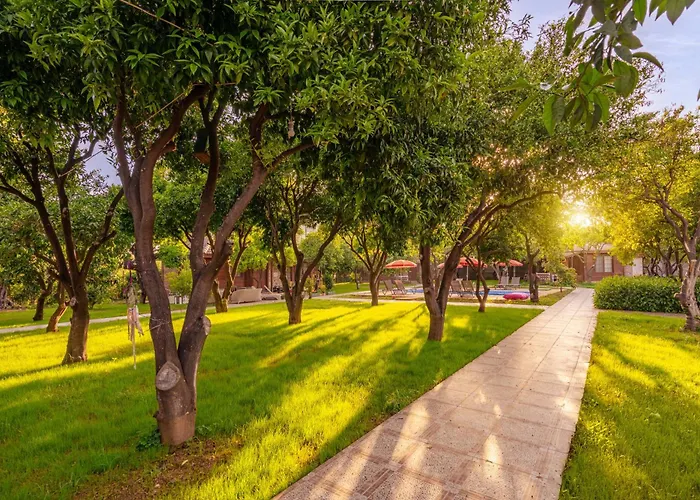 Mandarin Apartamento