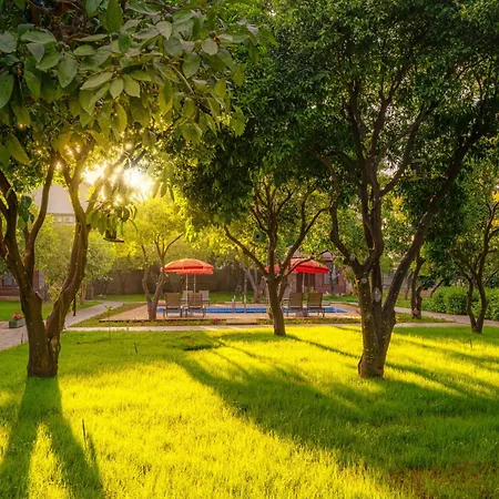 Mandarin ألانيا