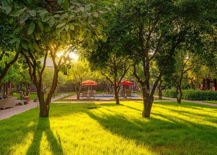 Mandarin ألانيا